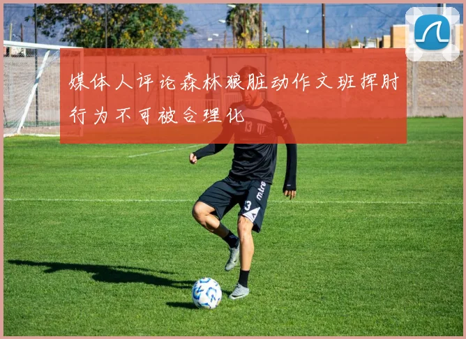 媒体人评论森林狼脏动作文班挥肘行为不可被合理化