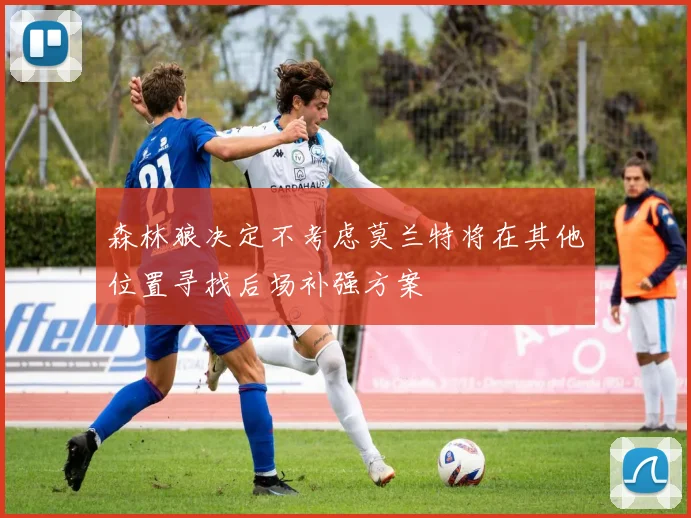 森林狼决定不考虑莫兰特将在其他位置寻找后场补强方案